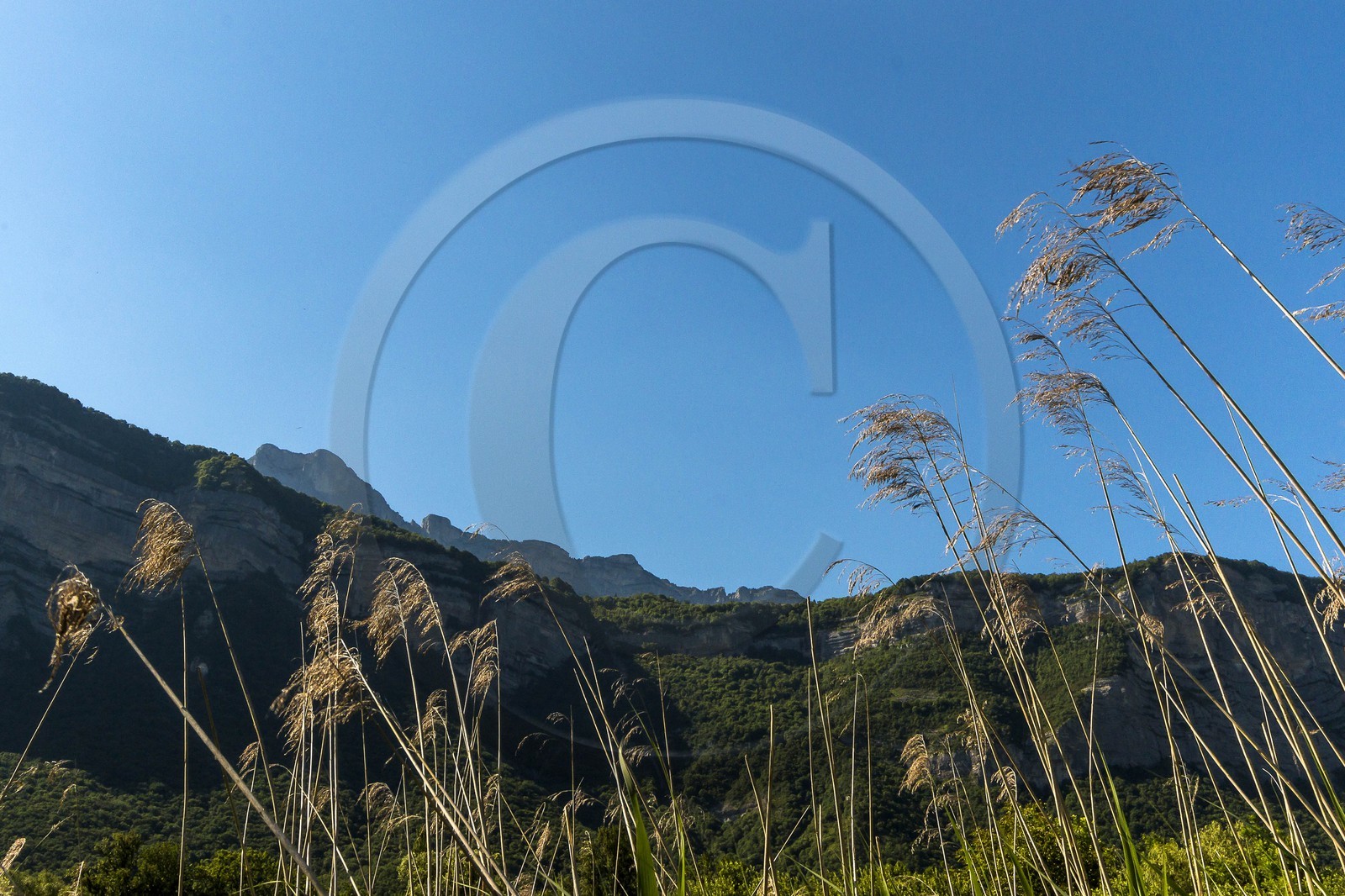 ENS de l'Isère, Marais de Montfort