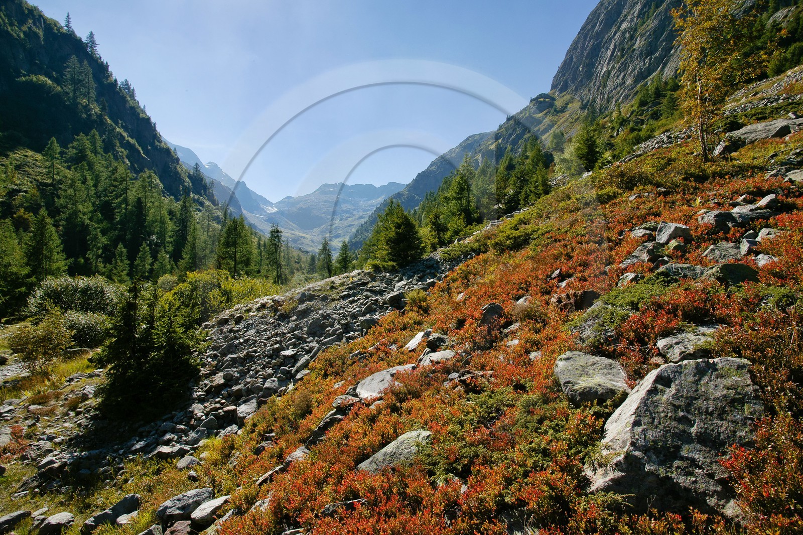 Réserve naturelle du Vallon de Bérard
