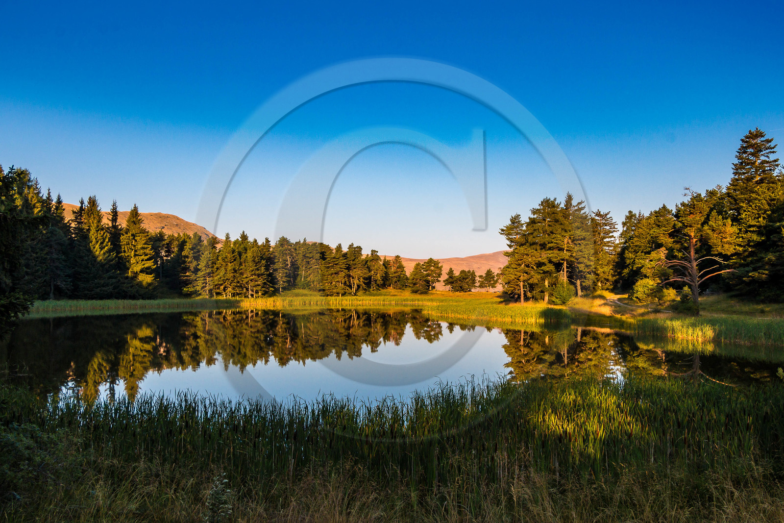 Esparron-La-Bâtie, lac d'Esparron