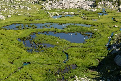 Vallon du Laverq, lac et tourbière Les Eaux-Tortes