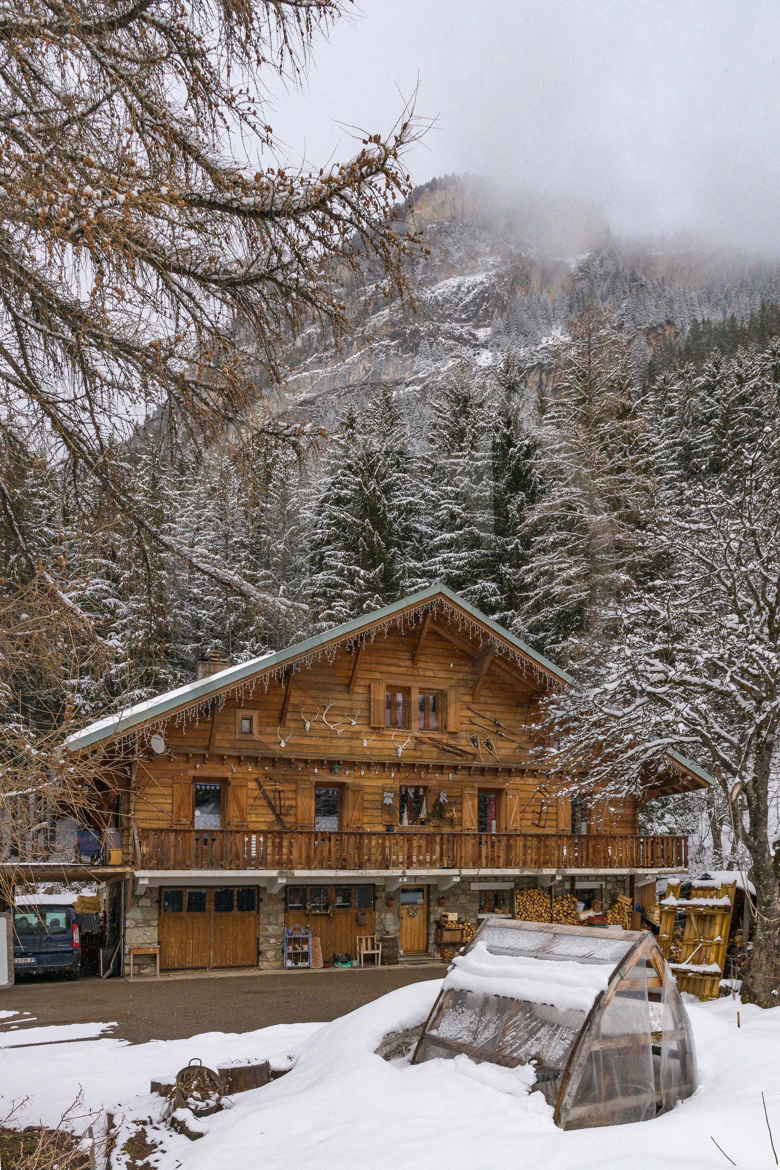 Pralognan-la-Vanoise, bouquetin en bronze