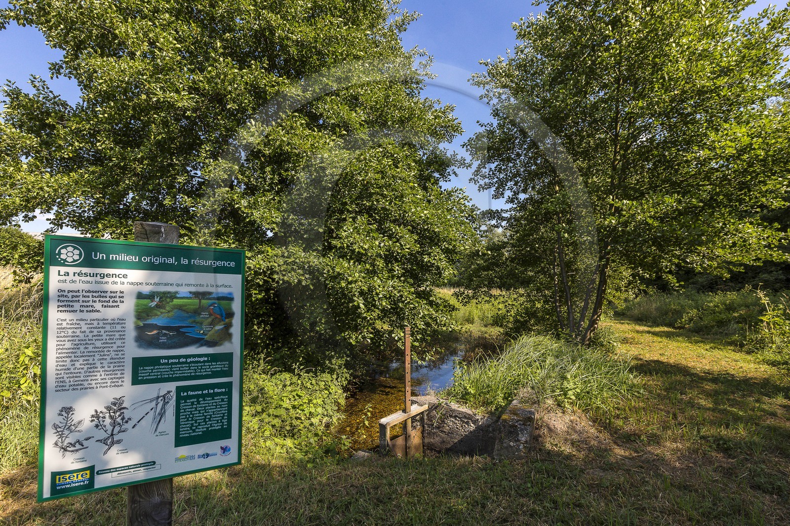ENS de l'Isère, Zone humide de la Merlière
