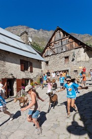 La fête de la Sainte-Anne à Prapic, fin juillet, tiercé de chèvres