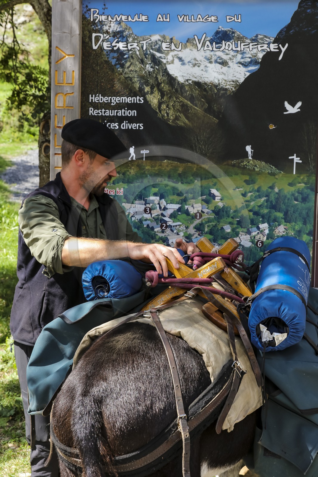 Yohann Masnada, accompagnateur ânier