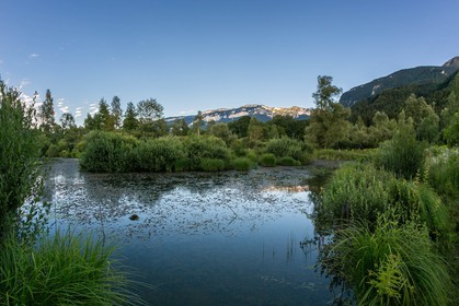 ENS de l'Isère, Tourbières de l'Herretang
