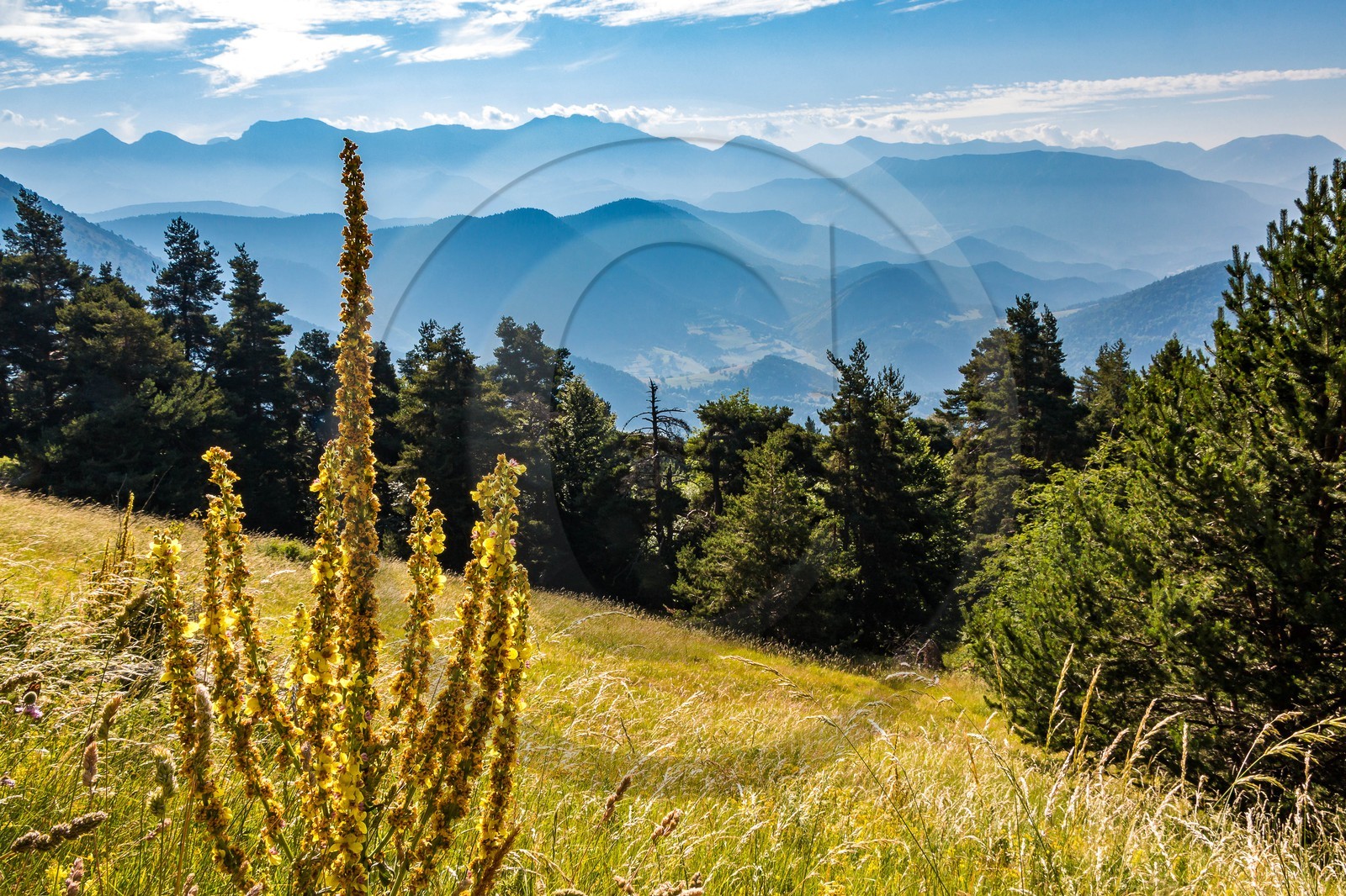 Les Monges, du col de la Pinée