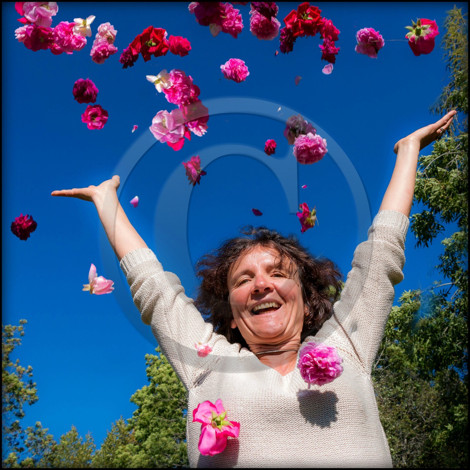 Jardins des Hautes Terres