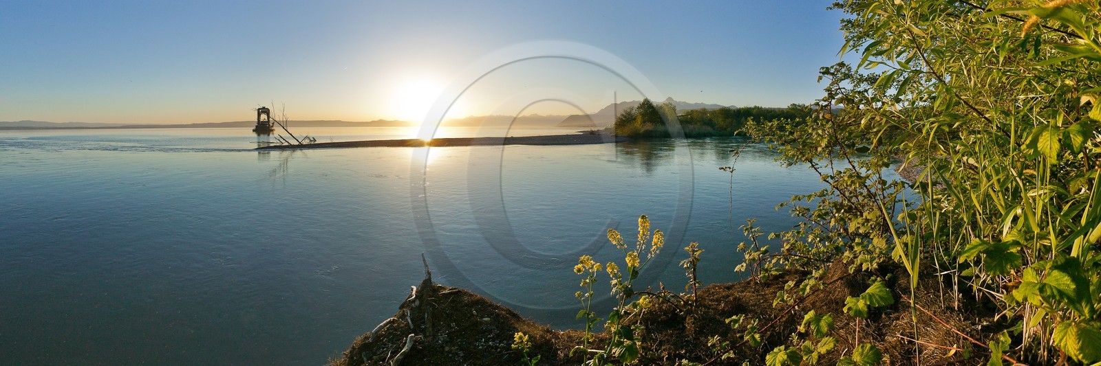 Réserve naturelle du delta de la Dranse