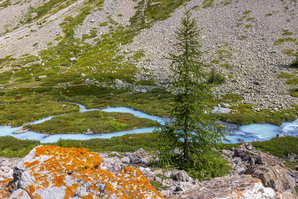 Torrent le petit Tabuc
