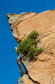 Calanche de Piana