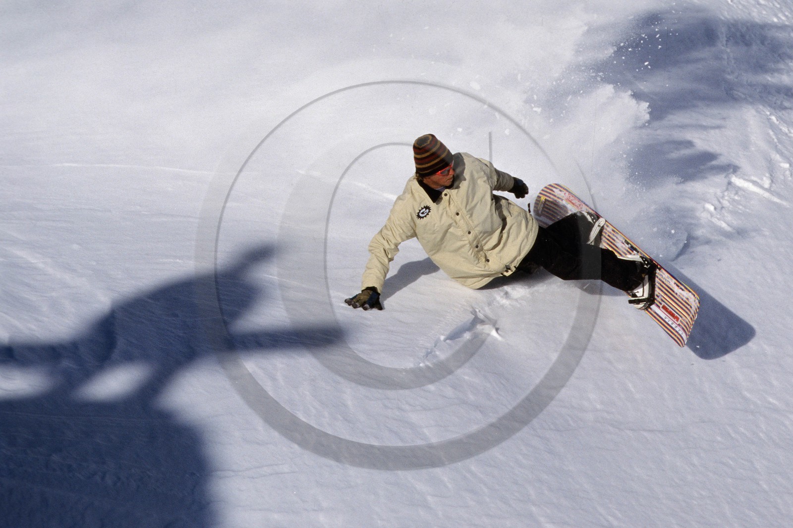 Surf des neige, Snowboard