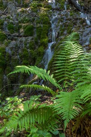 ENS de l'Isère, Les Ecouges