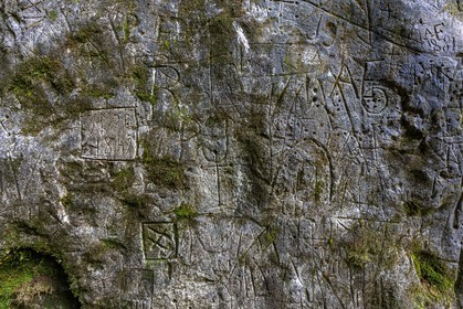 ENS de l'Isère, Plateau de la Molière et du Sornin, Le Puits aux Ecritures, gravures rupestres