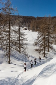vallée de l'Ubaye, randonnée en raquettes à neige