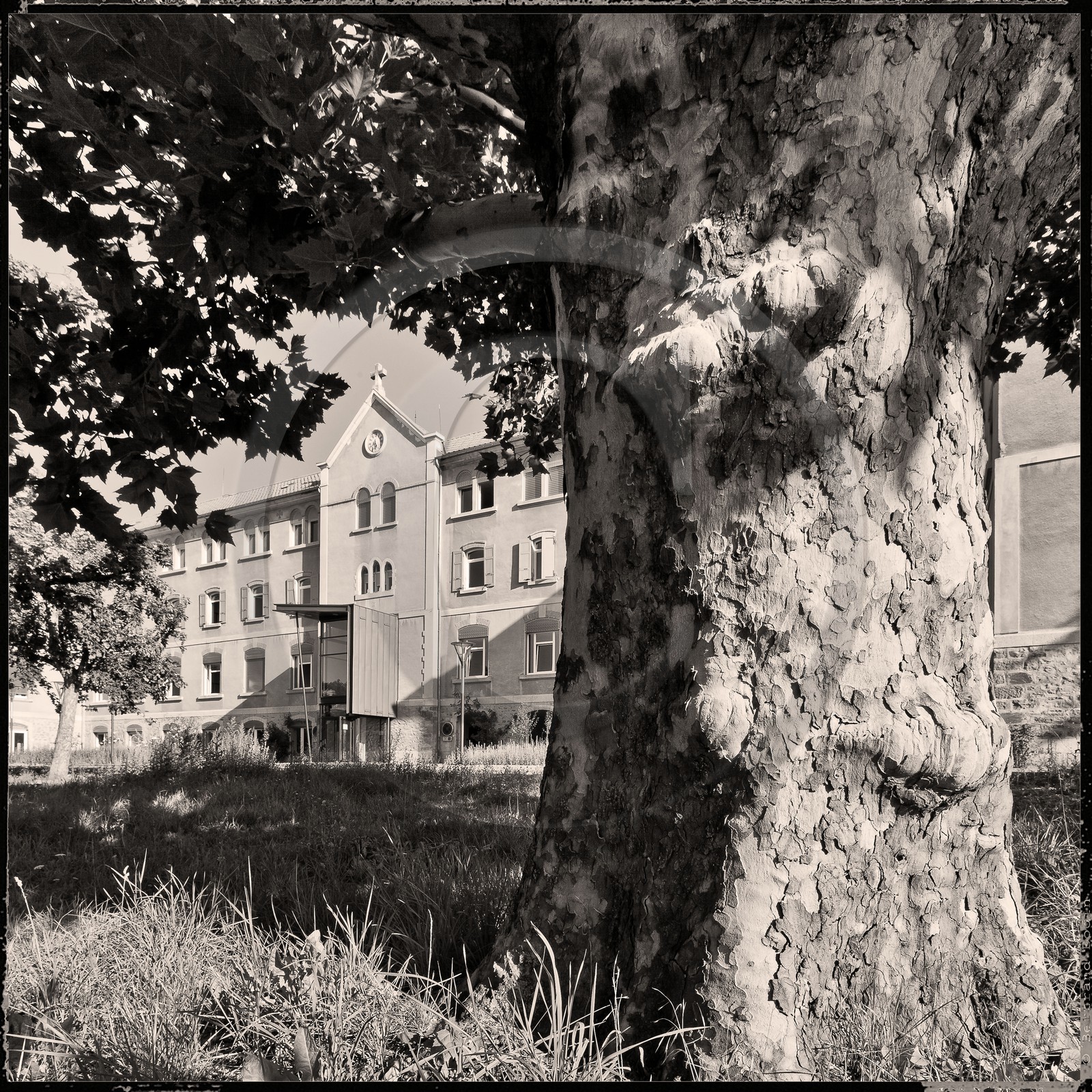 Site de Saint-Louis du Conseil Général