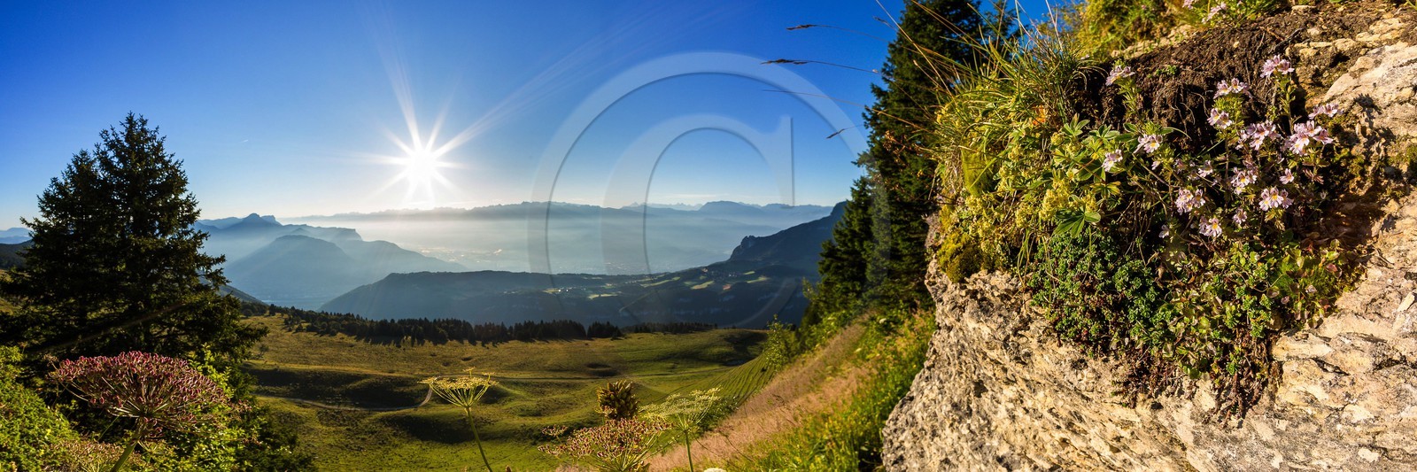 ENS de l'Isère, Plateau de la Molière et du Sornin