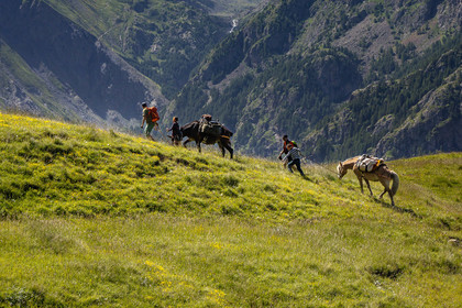 Trek famille avec animaux de bats