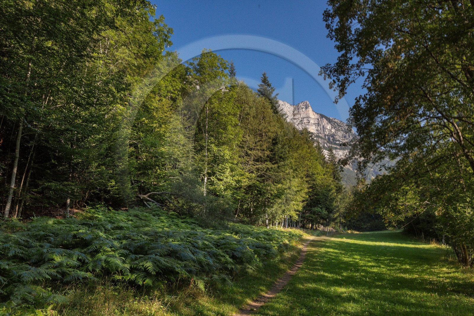 ENS de l'Isère,Tourbières du Peuil