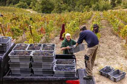 Domaine du Mont Guillaume