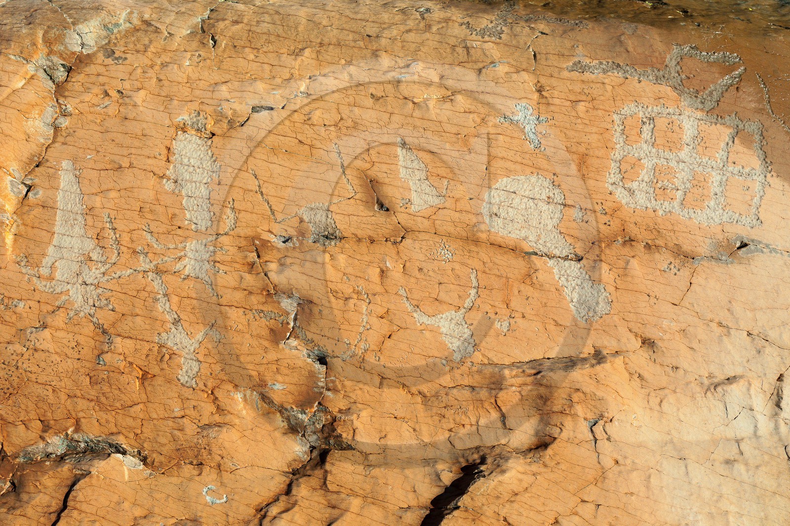 Vallée des Merveilles, gravures rupestres