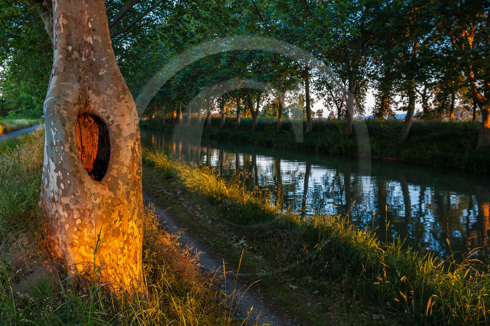 Canal du Midi, inscrit au Patrimoine mondial de l'UNESCO