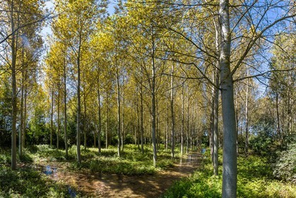 ENS de l'Isère, Les Fontaines de Beaufort
