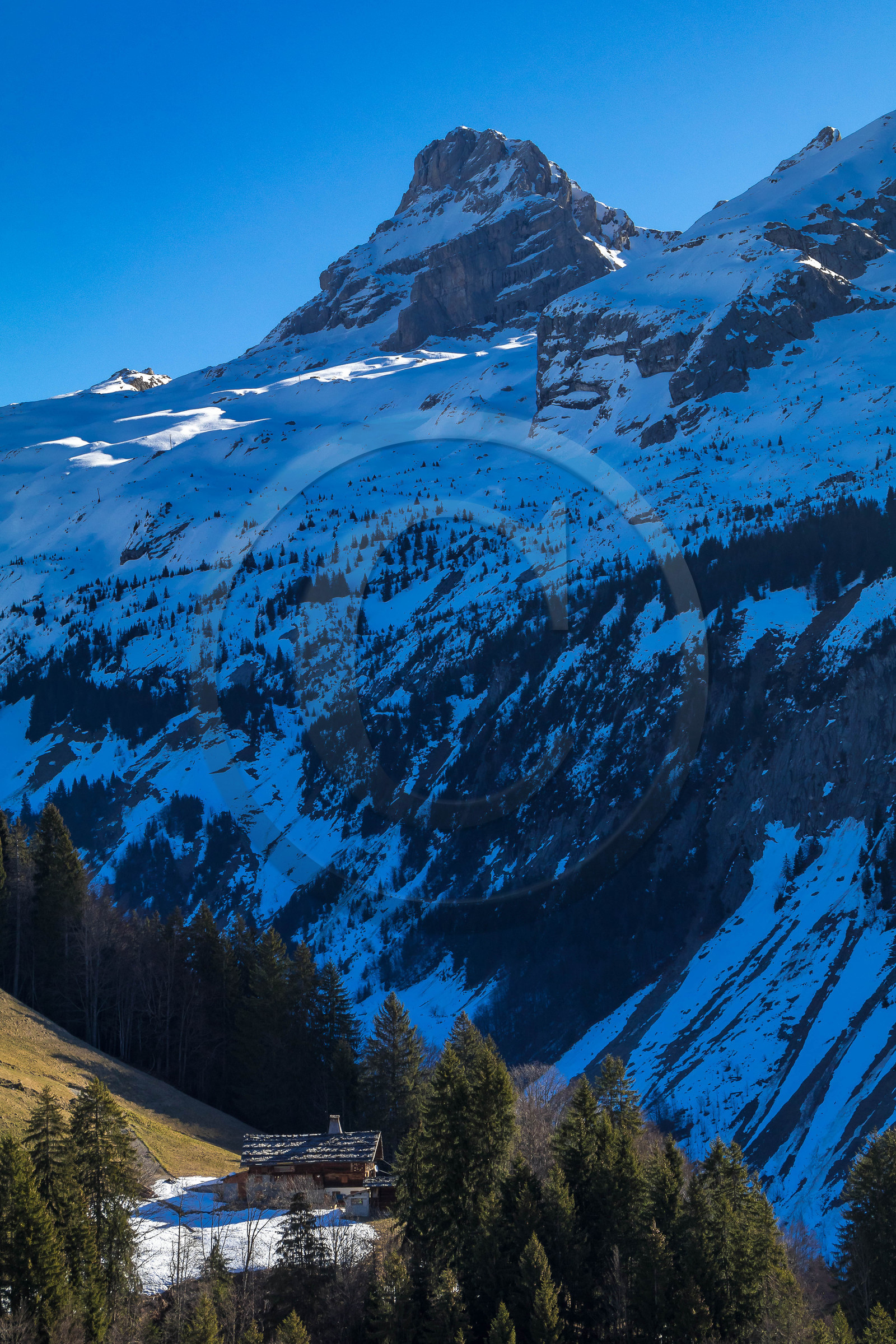 Le Grand Bornand, Les Plans