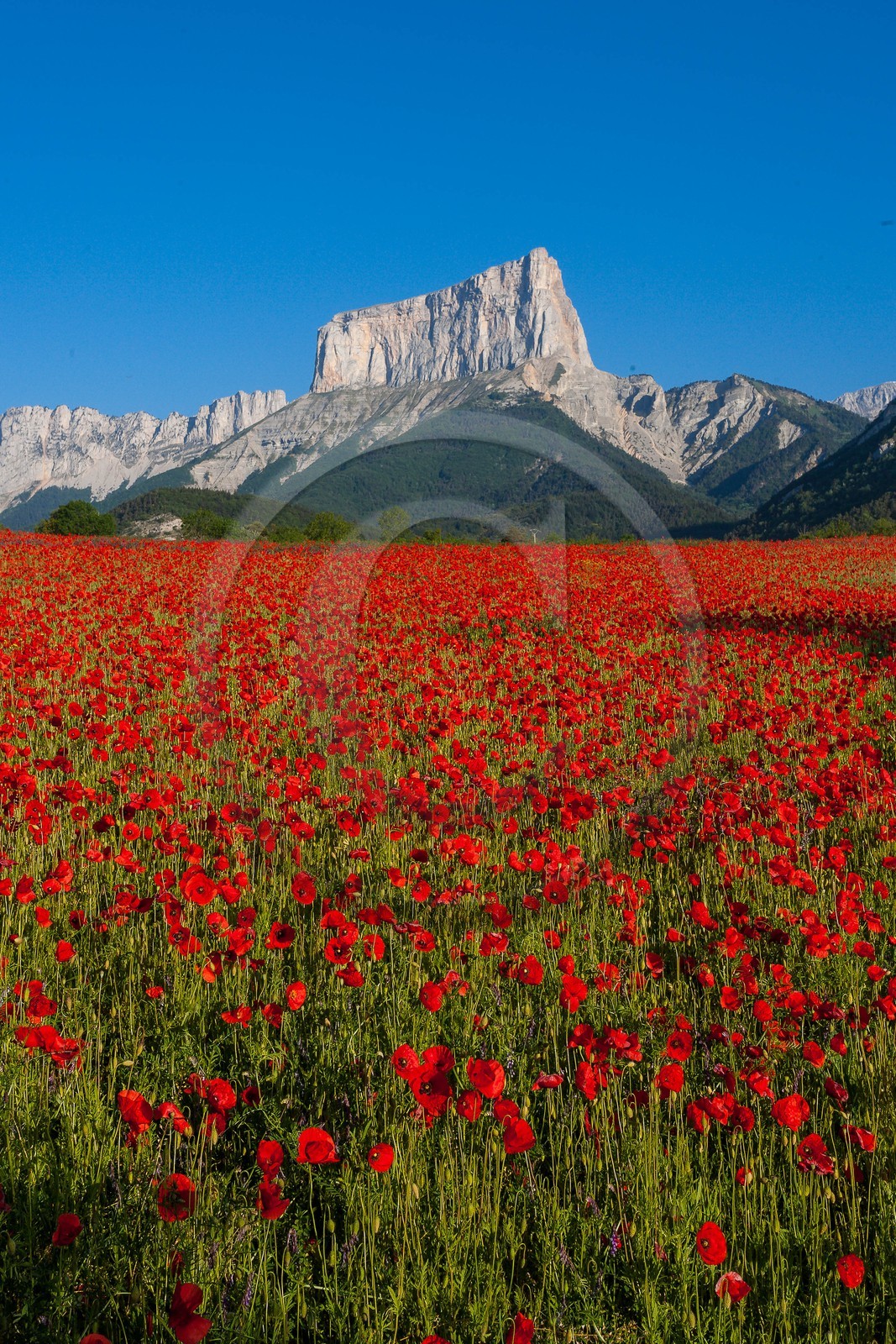 Trièves, le Mont-Aiguille