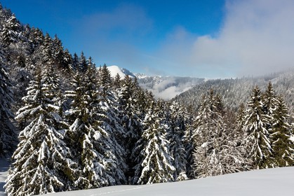 Espace naturel sensible de l'Isère, Col du Coq