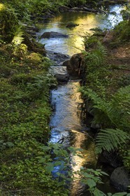 ENS de l'Isère, Marais des Seiglières