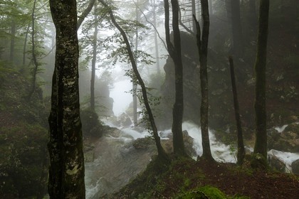 ENS de l'Isère, Les Ecouges