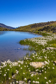 Lac Palluel
