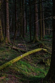 ENS de l'Isère, Marais des Seiglières