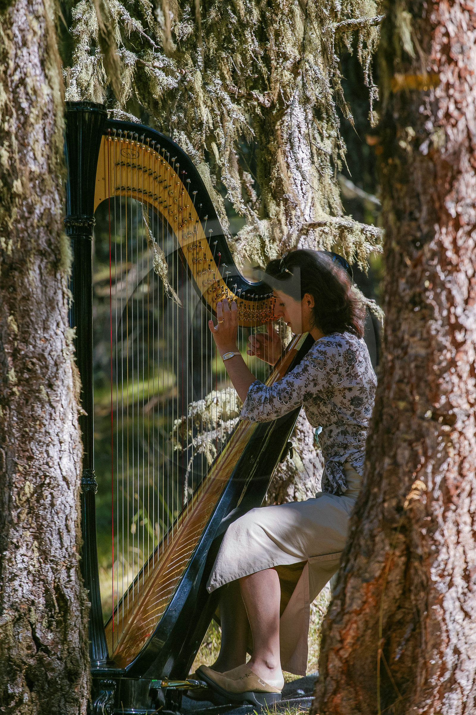 Festival de Chaillol, Iris Topalian, harpe