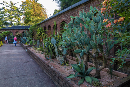 Jardin botanique de la villa Taranto