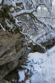 ENS de l'Isère, Les Ecouges, rivière la Drevenne