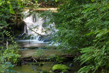ENS de l'Isère, étang de Cote Manin