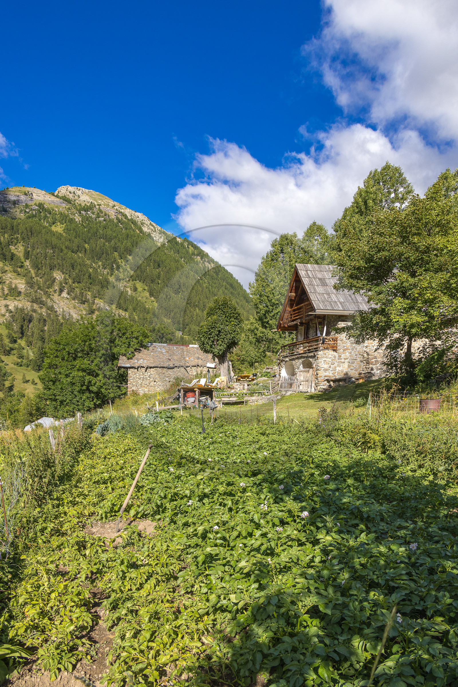 L'Ecrin de Violette, Chambres et table d'hôtes