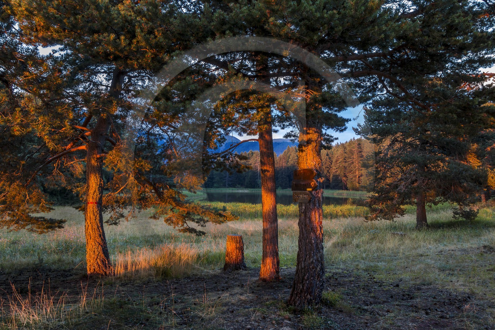 Esparron-La-Bâtie, lac d'Esparron