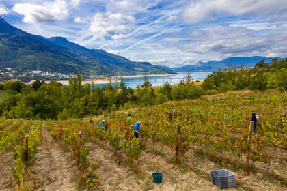 Domaine du Mont Guillaume