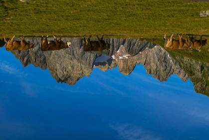 Lac de l'Arpettaz