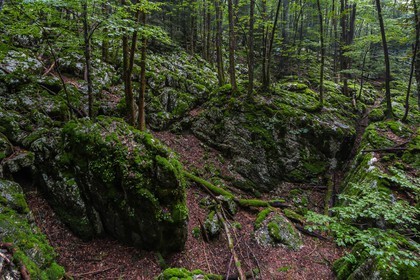 ENS de l'Isère, Les Ecouges
