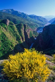 Gorges de Daluis