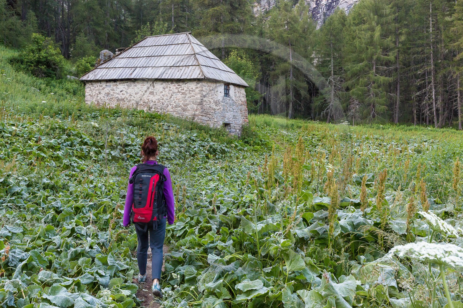 Ubaye, Vallon du Laverq, Plan-Bas