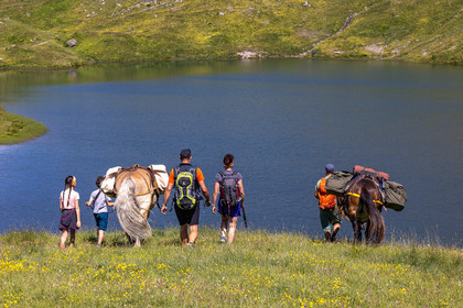 Trek famille avec animaux de bats