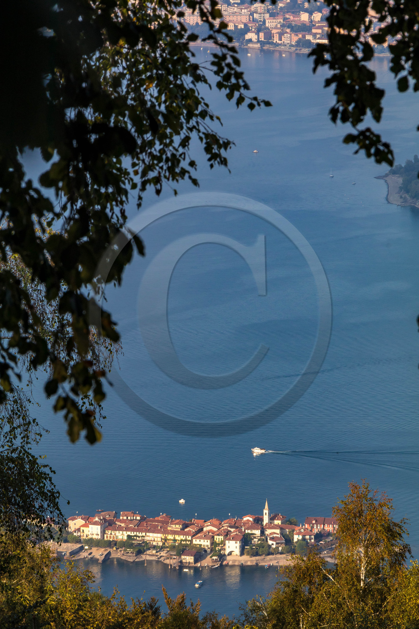 Monte Mottarone, jardin Alpinia