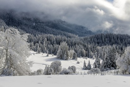 ENS de l'Isère, Les Ecouges