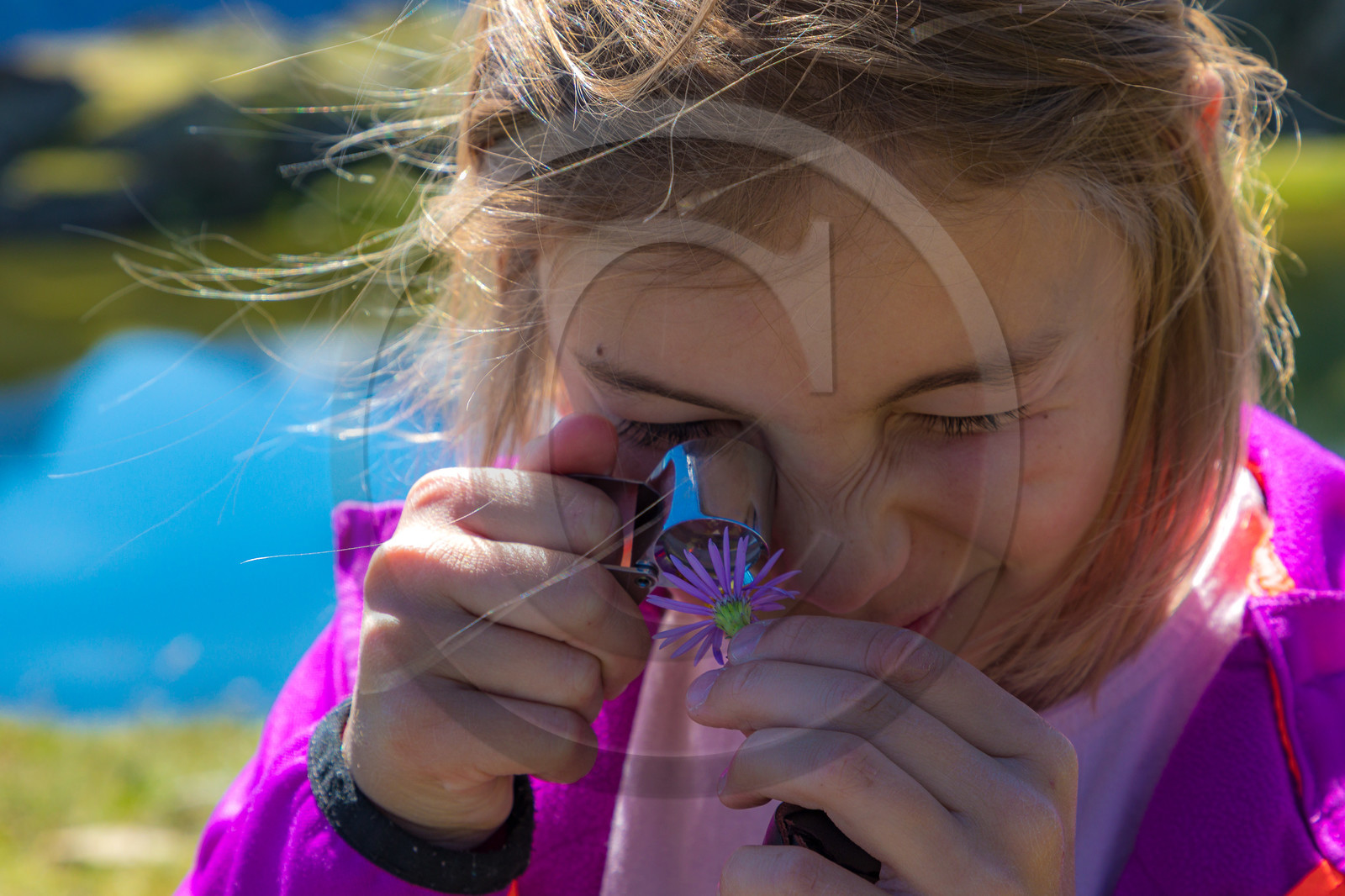 Plateau d'Emparis, randonnée pédestre