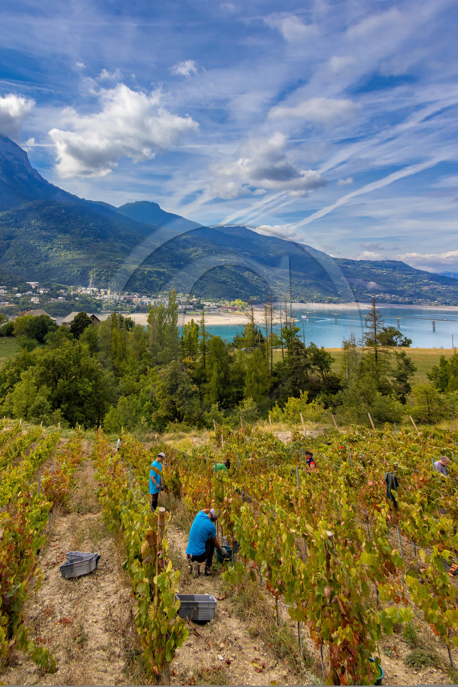 Domaine du Mont Guillaume