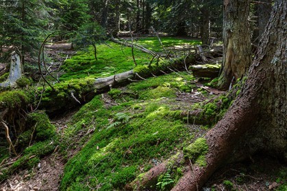 ENS de l'Isère, Plateau de la Molière et du Sornin